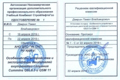 Дамрин-уд-е-2